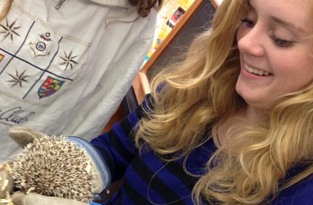 Confiscated Hedgehog Livens AP Biology