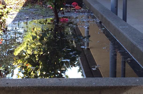 Campus Struggles to Manage Water