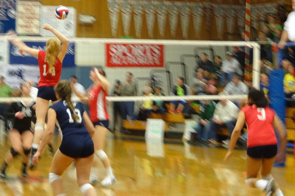 Volleyball Falls in NCS Final