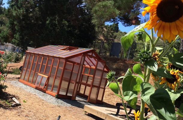 New Garden Greenhouse Assembled