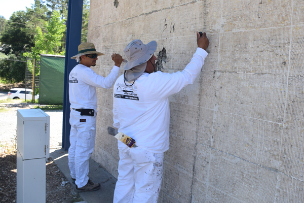 New Paint, New Shades Transform Campus