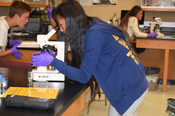 County Worker Teaches Sewer Science