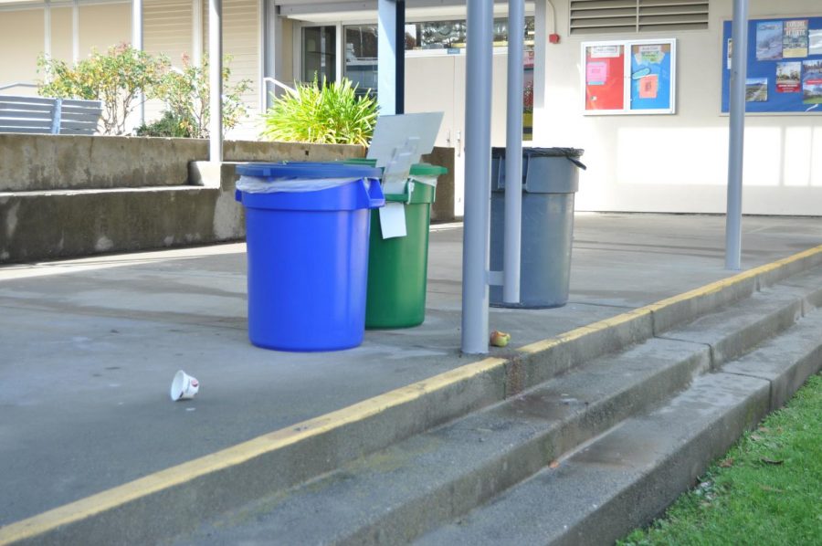 Litter Problem Piles on Custodial Burden