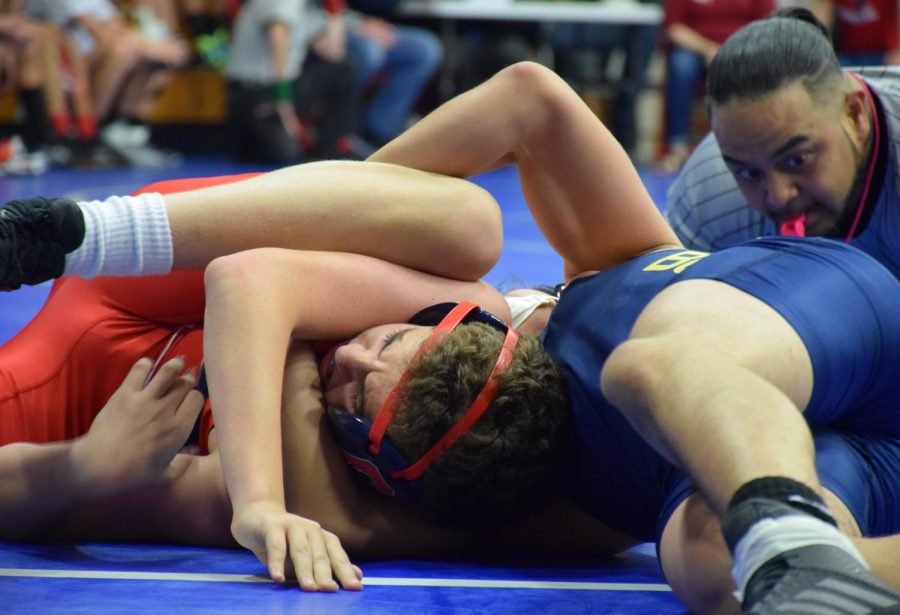 Wrestling Newcomers Thrive at Novice Tourney
