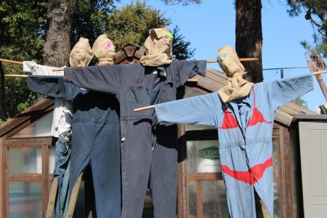 The scarecrows made by Art 2 students will be on display in the Campo garden.