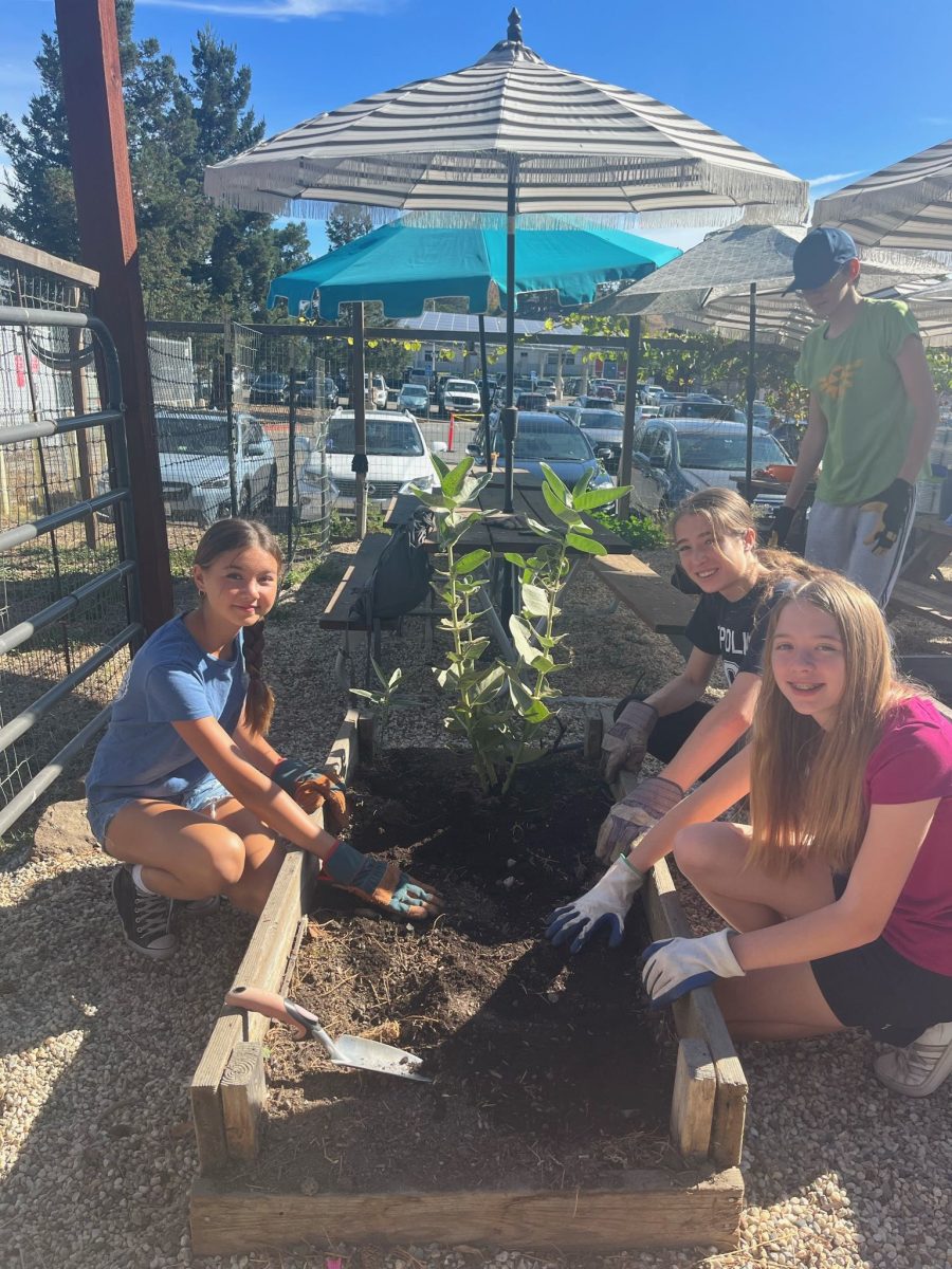 Students dig in the garden.