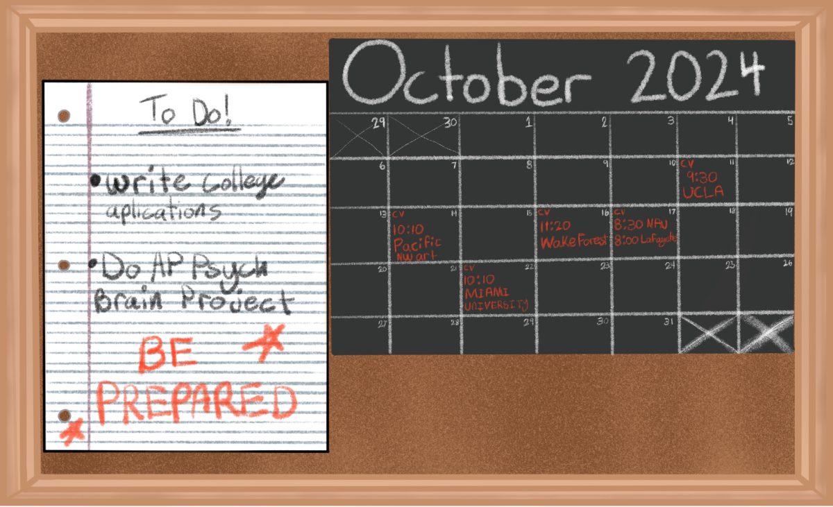 Students navigate the year
