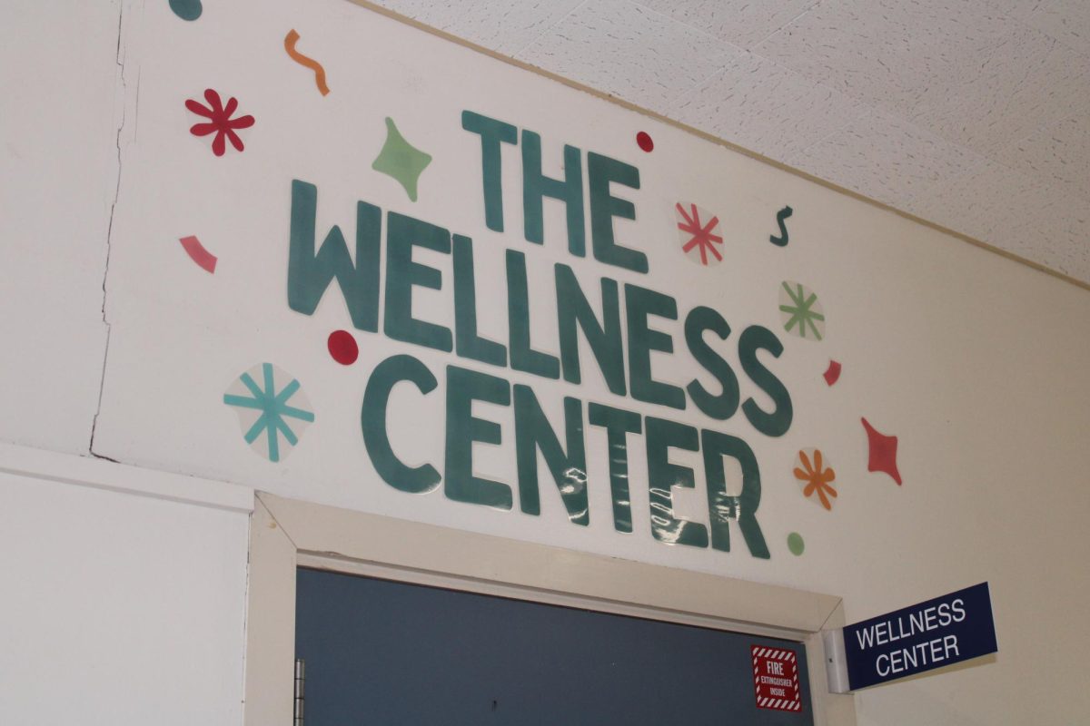 Wellness Center: Performative or Productive