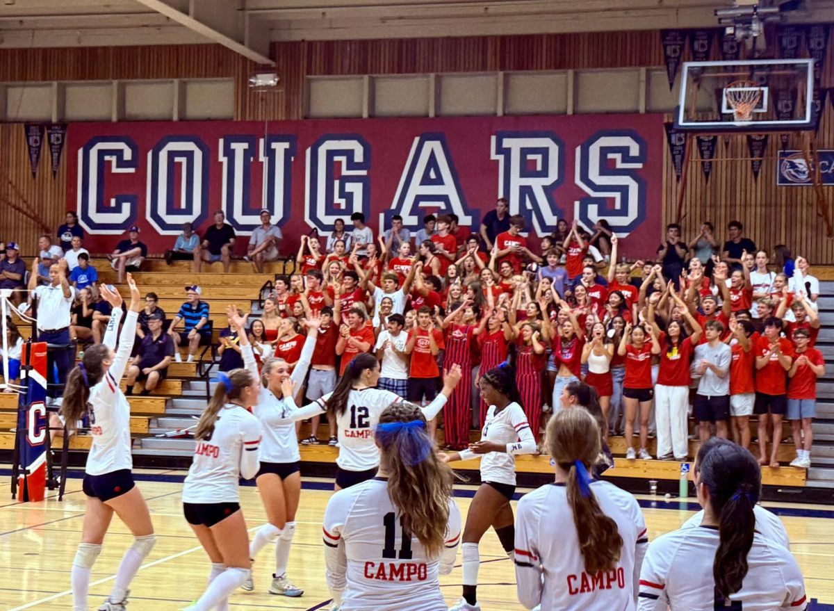 Cougar fans go wild celebrating an impressive dig by #15 in the third set of a decisive win against Acalanes.