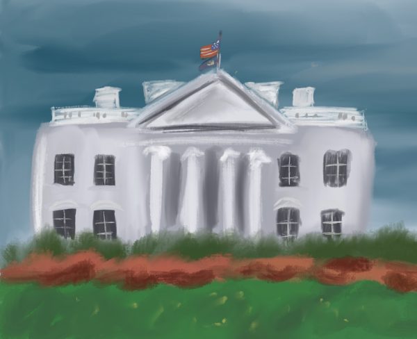 Rising Concern About the New White House App